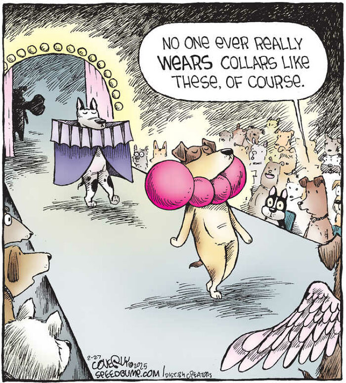 25 Hilarious Dog Comics That Show Why Life With Pups Is a Comedy Show