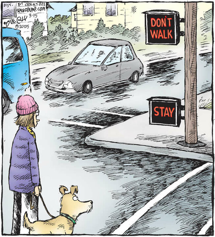 25 Hilarious Dog Comics That Show Why Life With Pups Is a Comedy Show