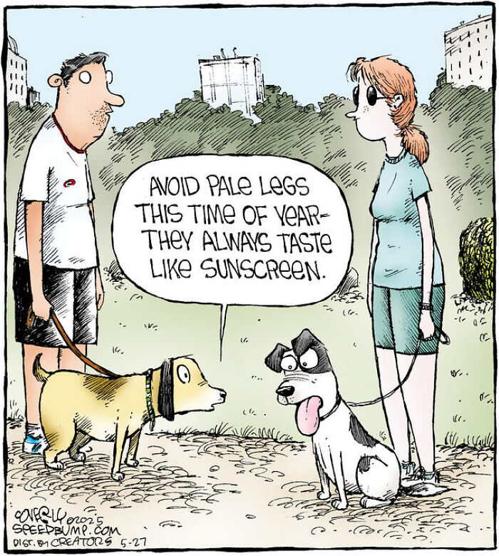 25 Hilarious Dog Comics That Show Why Life With Pups Is a Comedy Show