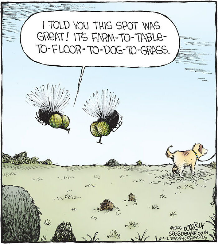 25 Hilarious Dog Comics That Show Why Life With Pups Is a Comedy Show