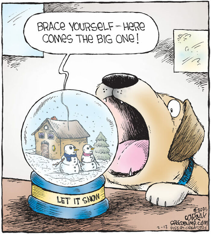 25 Hilarious Dog Comics That Show Why Life With Pups Is a Comedy Show
