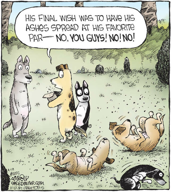 25 Hilarious Dog Comics That Show Why Life With Pups Is a Comedy Show