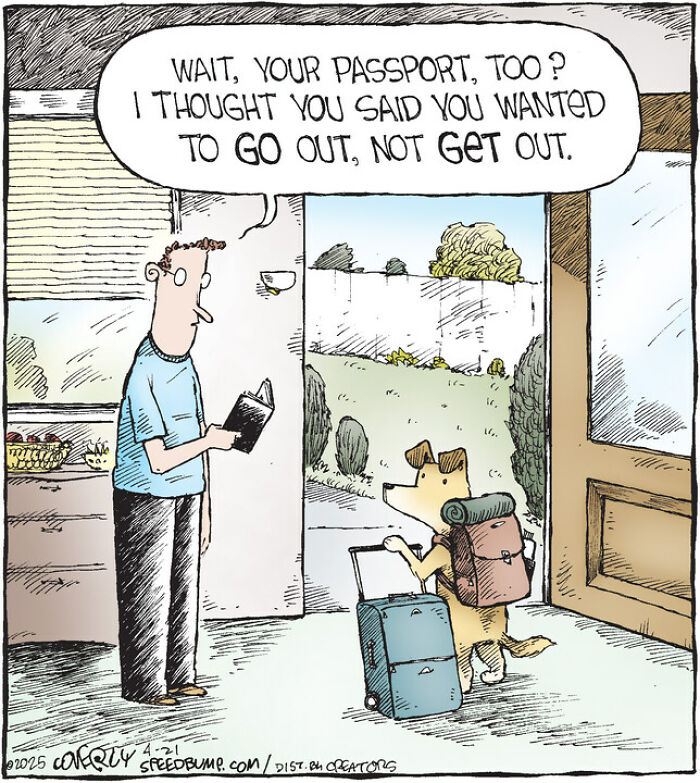 25 Hilarious Dog Comics That Show Why Life With Pups Is a Comedy Show