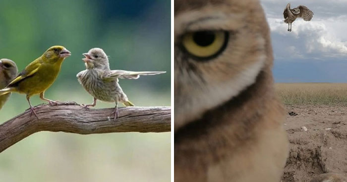 When Nature Goes, “Hold My Beer!” and Blows Our Minds 106 Times