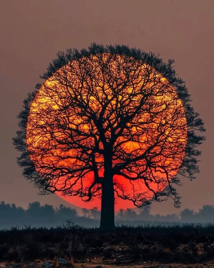 When Nature Goes, "Hold My Beer!" and Blows Our Minds 106 Times