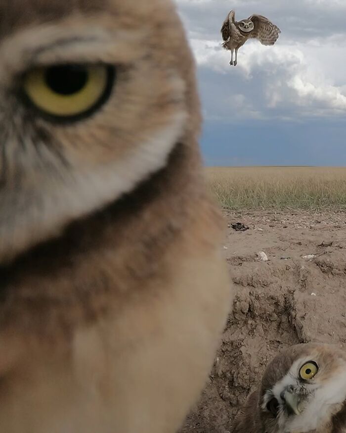 When Nature Goes, "Hold My Beer!" and Blows Our Minds 106 Times
