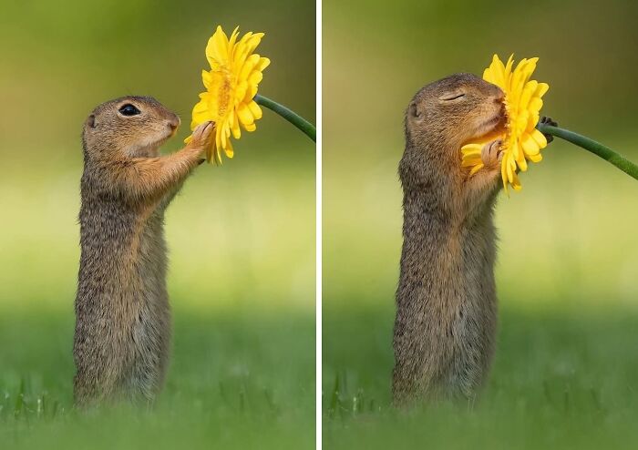 When Nature Goes, "Hold My Beer!" and Blows Our Minds 106 Times