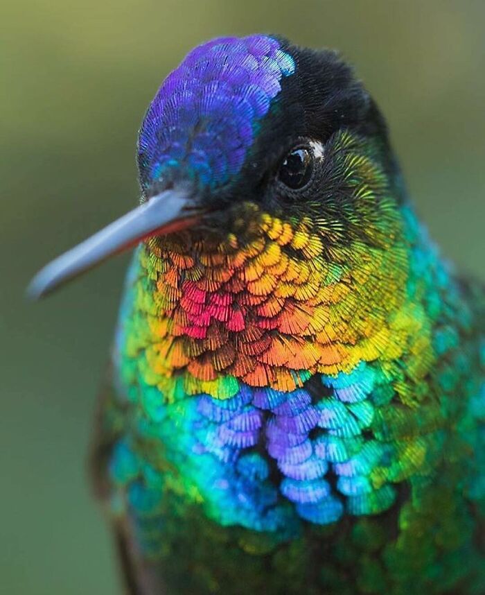 When Nature Goes, "Hold My Beer!" and Blows Our Minds 106 Times