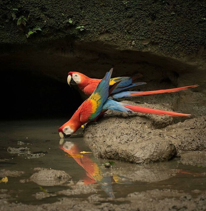 When Nature Goes, "Hold My Beer!" and Blows Our Minds 106 Times