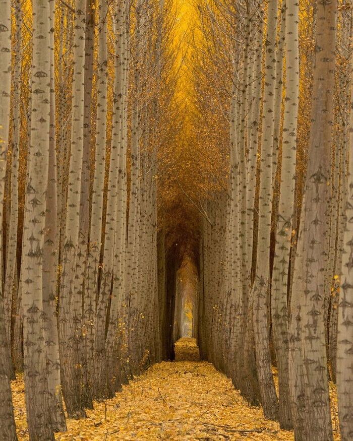 When Nature Goes, "Hold My Beer!" and Blows Our Minds 106 Times