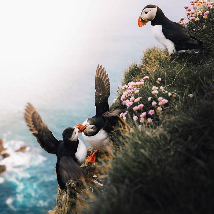 When Nature Goes, "Hold My Beer!" and Blows Our Minds 106 Times
