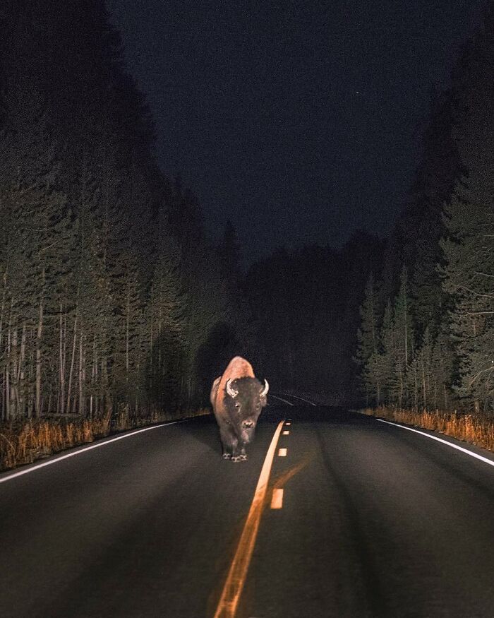 When Nature Goes, "Hold My Beer!" and Blows Our Minds 106 Times