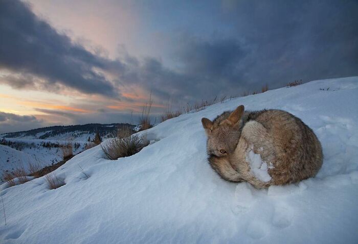 When Nature Goes, "Hold My Beer!" and Blows Our Minds 106 Times