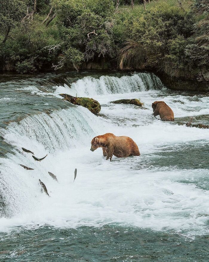 When Nature Goes, "Hold My Beer!" and Blows Our Minds 106 Times