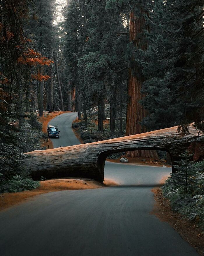 When Nature Goes, "Hold My Beer!" and Blows Our Minds 106 Times