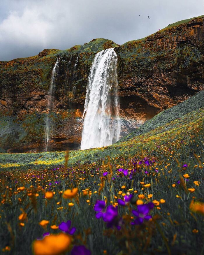 When Nature Goes, "Hold My Beer!" and Blows Our Minds 106 Times