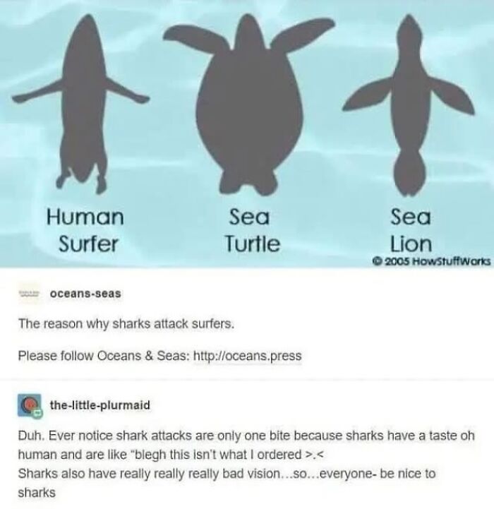 Tumblr's Funniest Posts That'll Totally Crack You Up Again