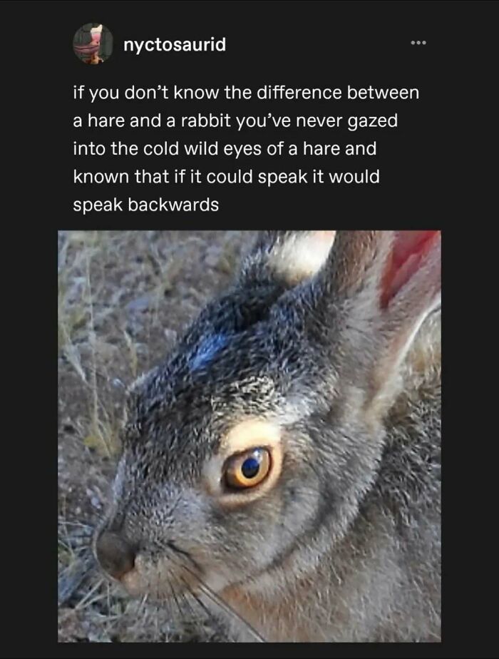 Tumblr's Funniest Posts That'll Totally Crack You Up Again