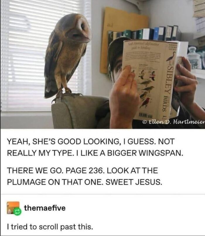 Tumblr's Funniest Posts That'll Totally Crack You Up Again
