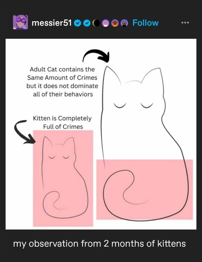 Tumblr's Funniest Posts That'll Totally Crack You Up Again
