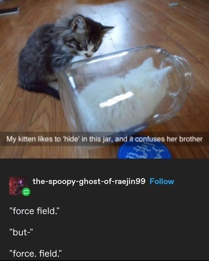 Tumblr's Funniest Posts That'll Totally Crack You Up Again