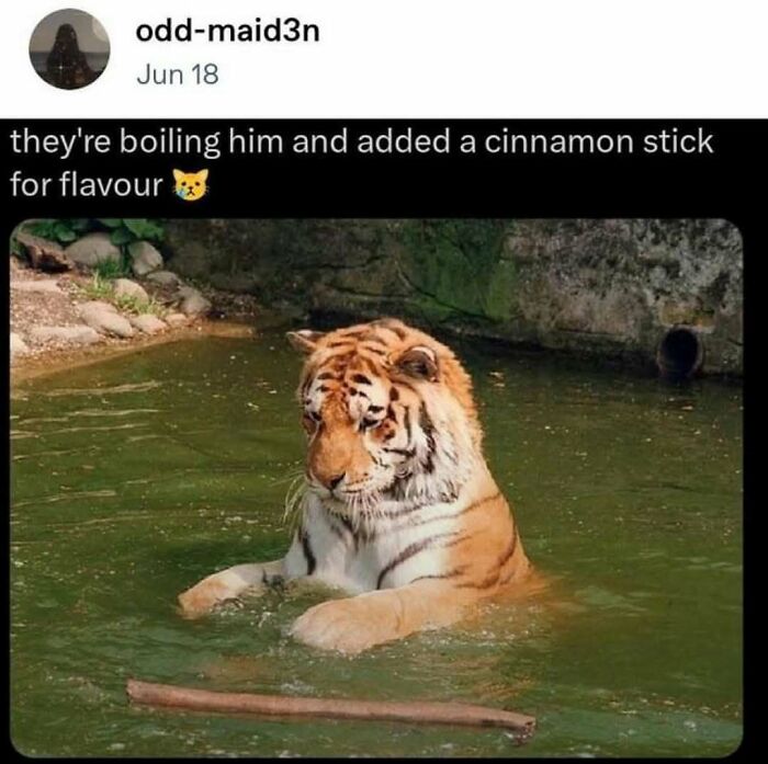 Tumblr's Funniest Posts That'll Totally Crack You Up Again