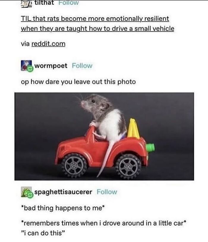 Tumblr's Funniest Posts That'll Totally Crack You Up Again