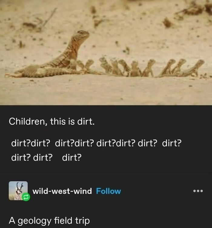 Tumblr's Funniest Posts That'll Totally Crack You Up Again