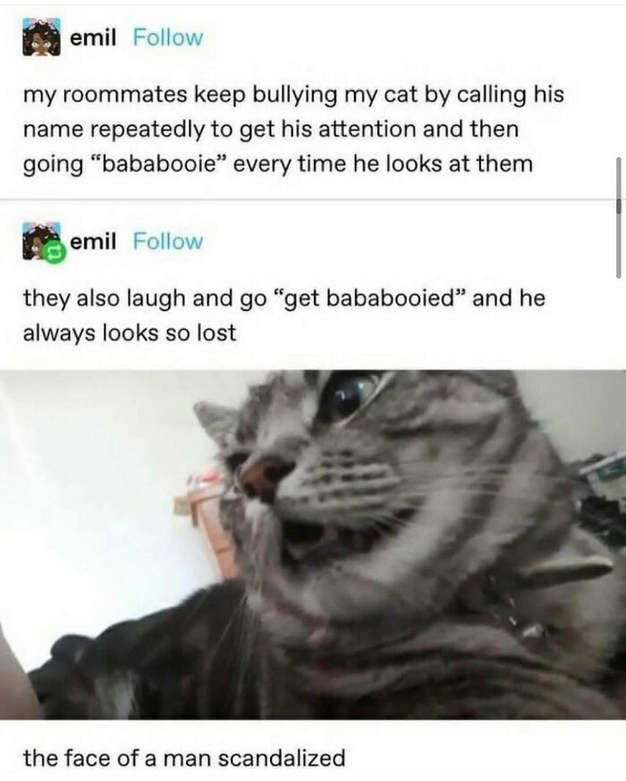 Tumblr's Funniest Posts That'll Totally Crack You Up Again