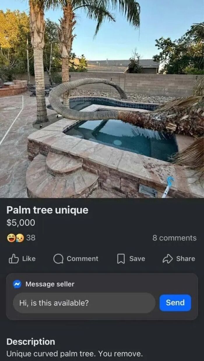 Wait, People Actually Sold This Stuff on Facebook Marketplace?!