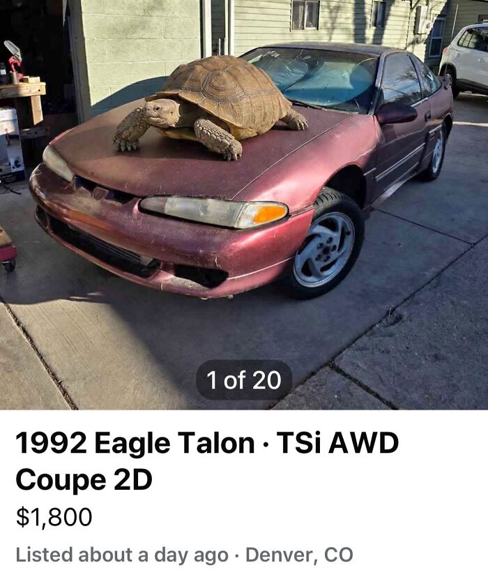Wait, People Actually Sold This Stuff on Facebook Marketplace?!