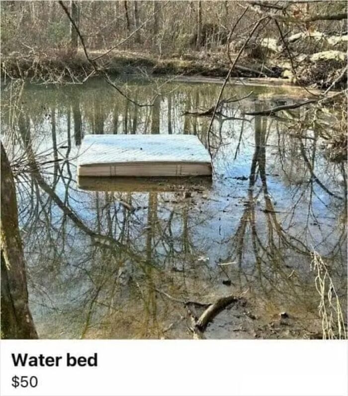 Wait, People Actually Sold This Stuff on Facebook Marketplace?!