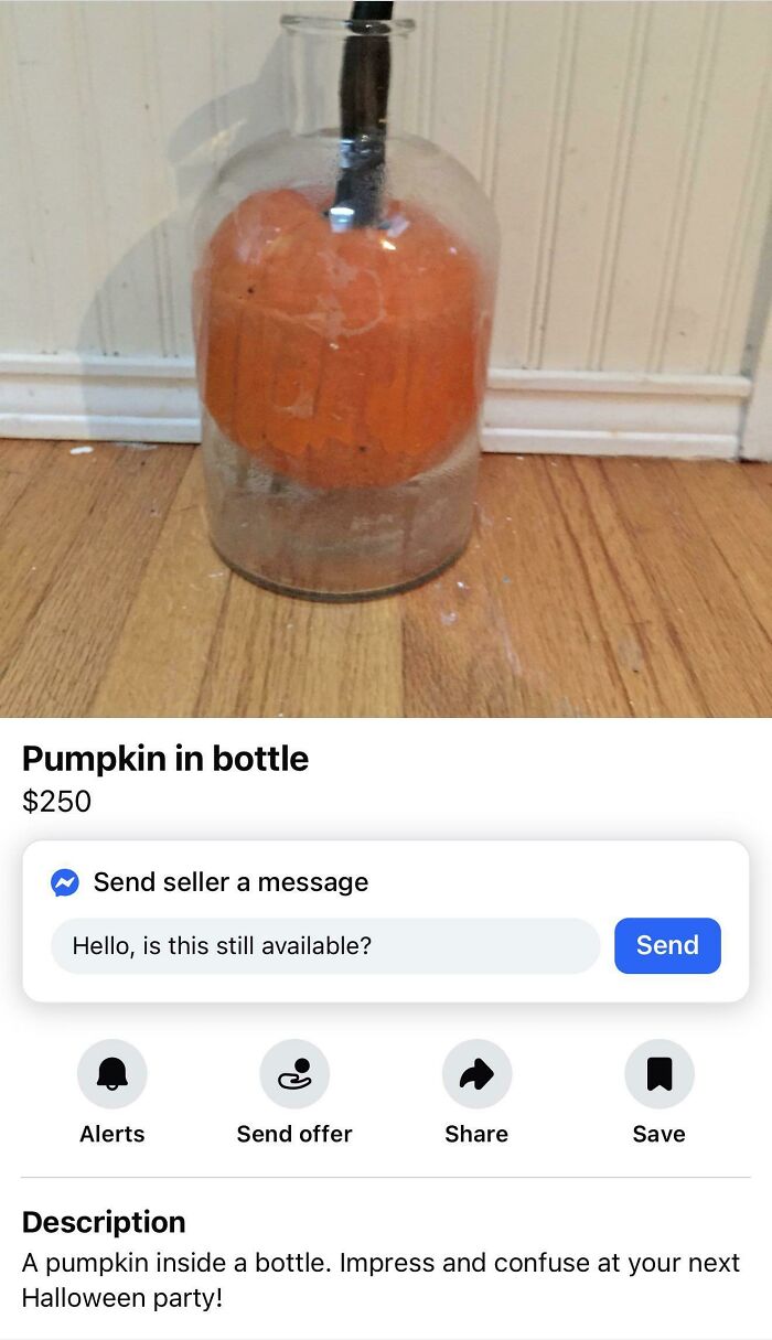 Wait, People Actually Sold This Stuff on Facebook Marketplace?!