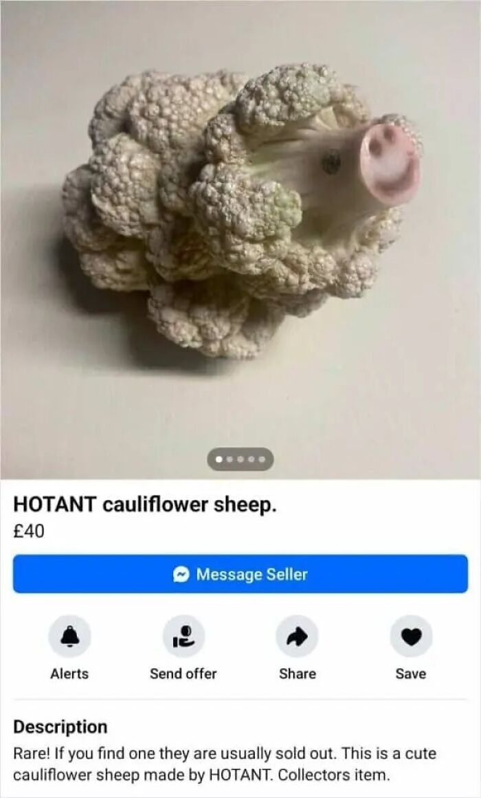 Wait, People Actually Sold This Stuff on Facebook Marketplace?!