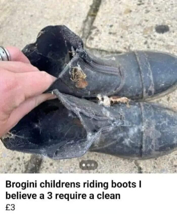 Wait, People Actually Sold This Stuff on Facebook Marketplace?!