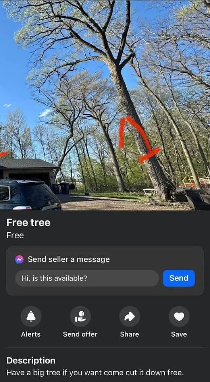 Wait, People Actually Sold This Stuff on Facebook Marketplace?!
