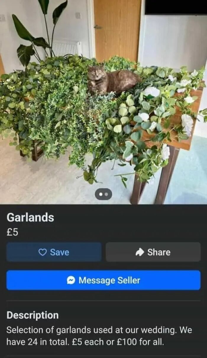 Wait, People Actually Sold This Stuff on Facebook Marketplace?!