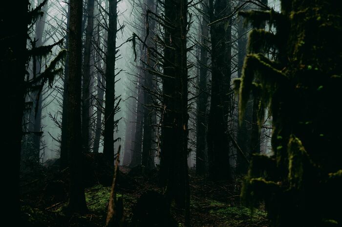 Let's Dive Into the Spookiest Folklore of North America!