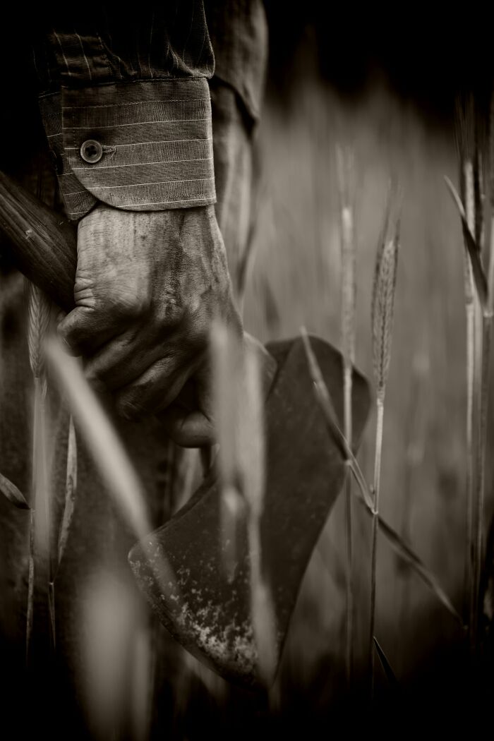 Let's Dive Into the Spookiest Folklore of North America!