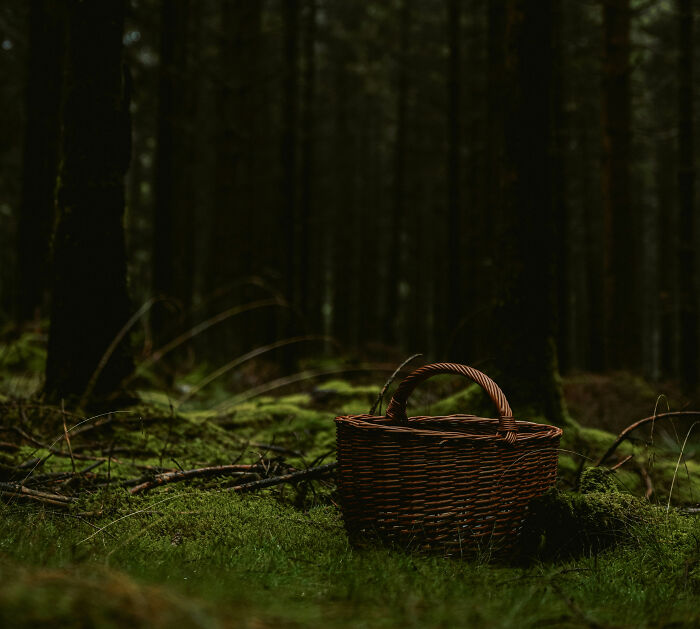 Let's Dive Into the Spookiest Folklore of North America!