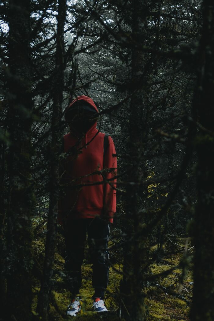 Let's Dive Into the Spookiest Folklore of North America!