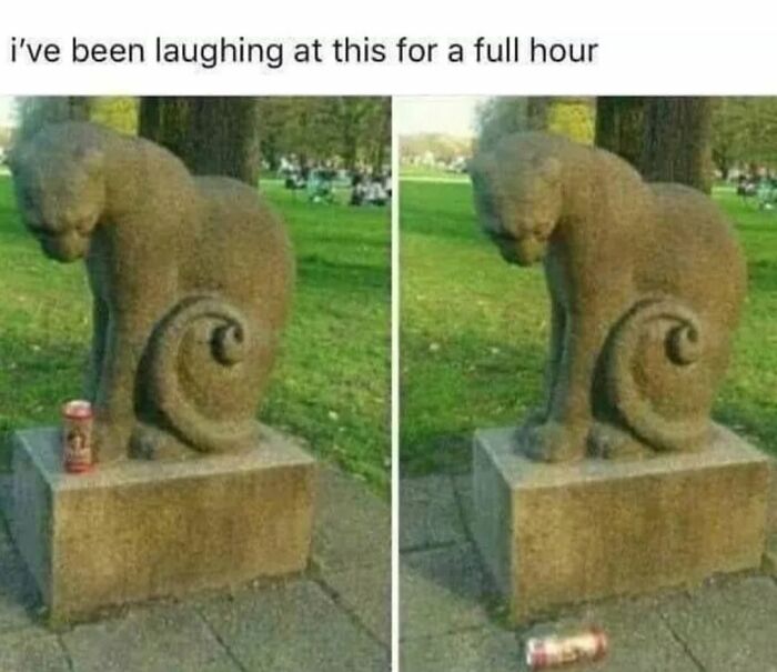 30 Cat Memes That’ll Totally Nail Your Cat-Life Experience