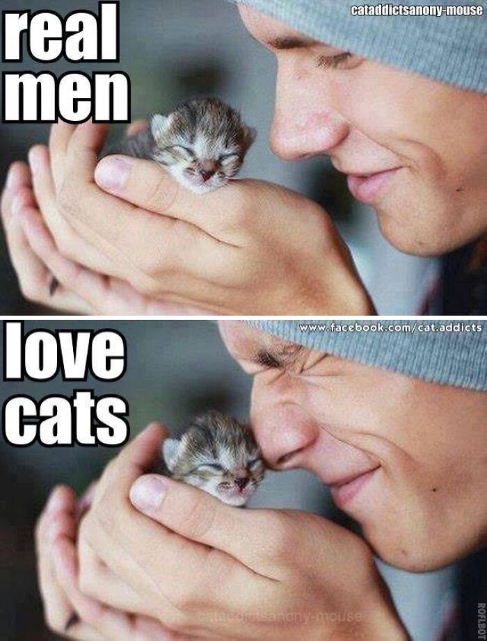30 Cat Memes That’ll Totally Nail Your Cat-Life Experience
