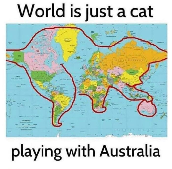 30 Cat Memes That’ll Totally Nail Your Cat-Life Experience