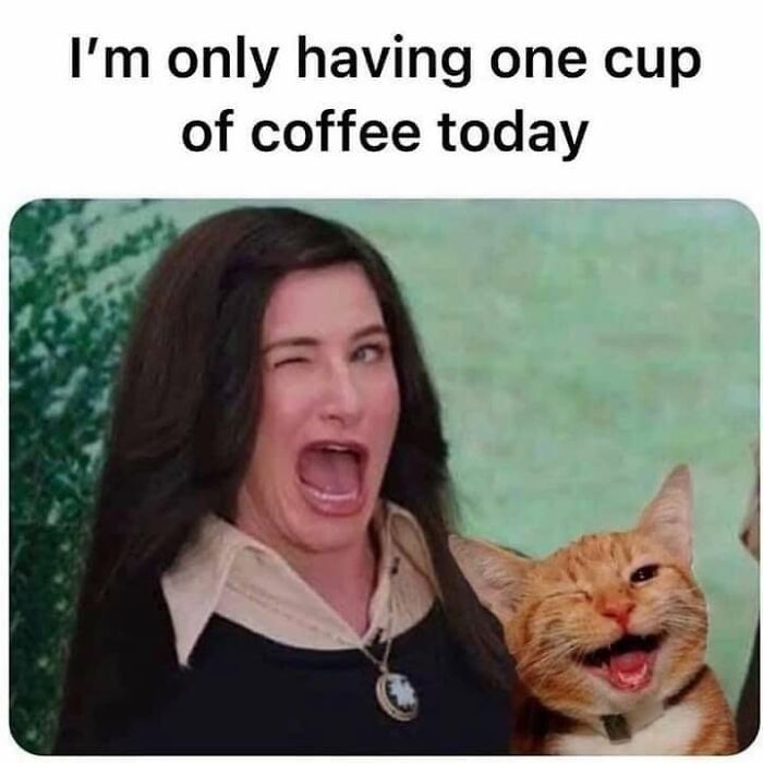 30 Cat Memes That’ll Totally Nail Your Cat-Life Experience