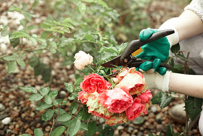 43 Jobs That Sound Made Up But Are Actually Real (And Weirdly Cool)