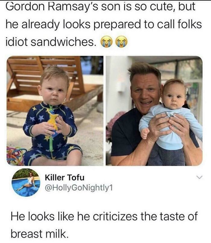 Wait, People Actually Roasted These Innocent Posts?!