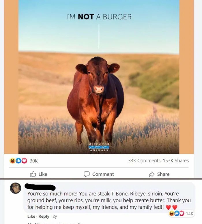 Wait, People Actually Roasted These Innocent Posts?!