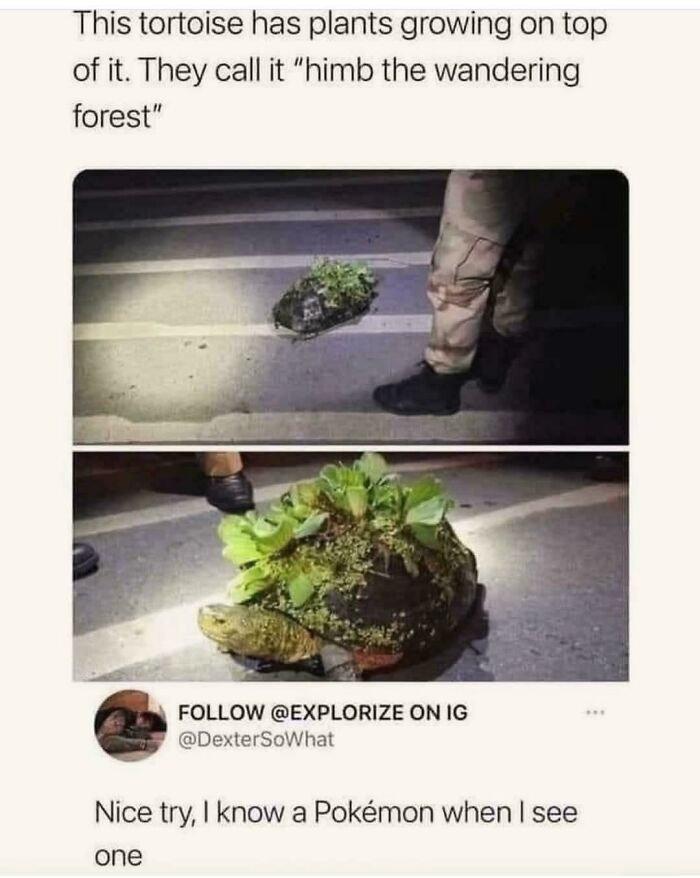 Wait, People Actually Roasted These Innocent Posts?!