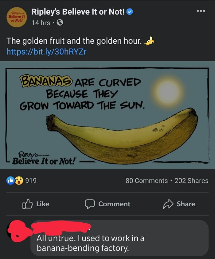 Wait, People Actually Roasted These Innocent Posts?!
